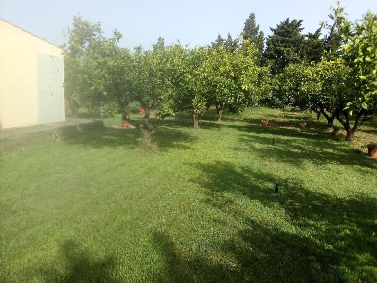 Appartamento In Orosei In Villa Delle Arance 300Mt Dalla Spiaggia Bagian luar foto