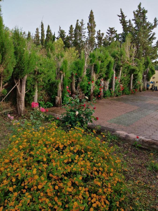 Appartamento In Orosei In Villa Delle Arance 300Mt Dalla Spiaggia Bagian luar foto
