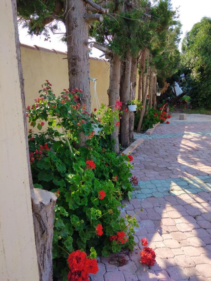 Appartamento In Orosei In Villa Delle Arance 300Mt Dalla Spiaggia Bagian luar foto