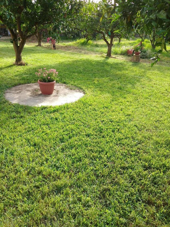 Appartamento In Orosei In Villa Delle Arance 300Mt Dalla Spiaggia Bagian luar foto